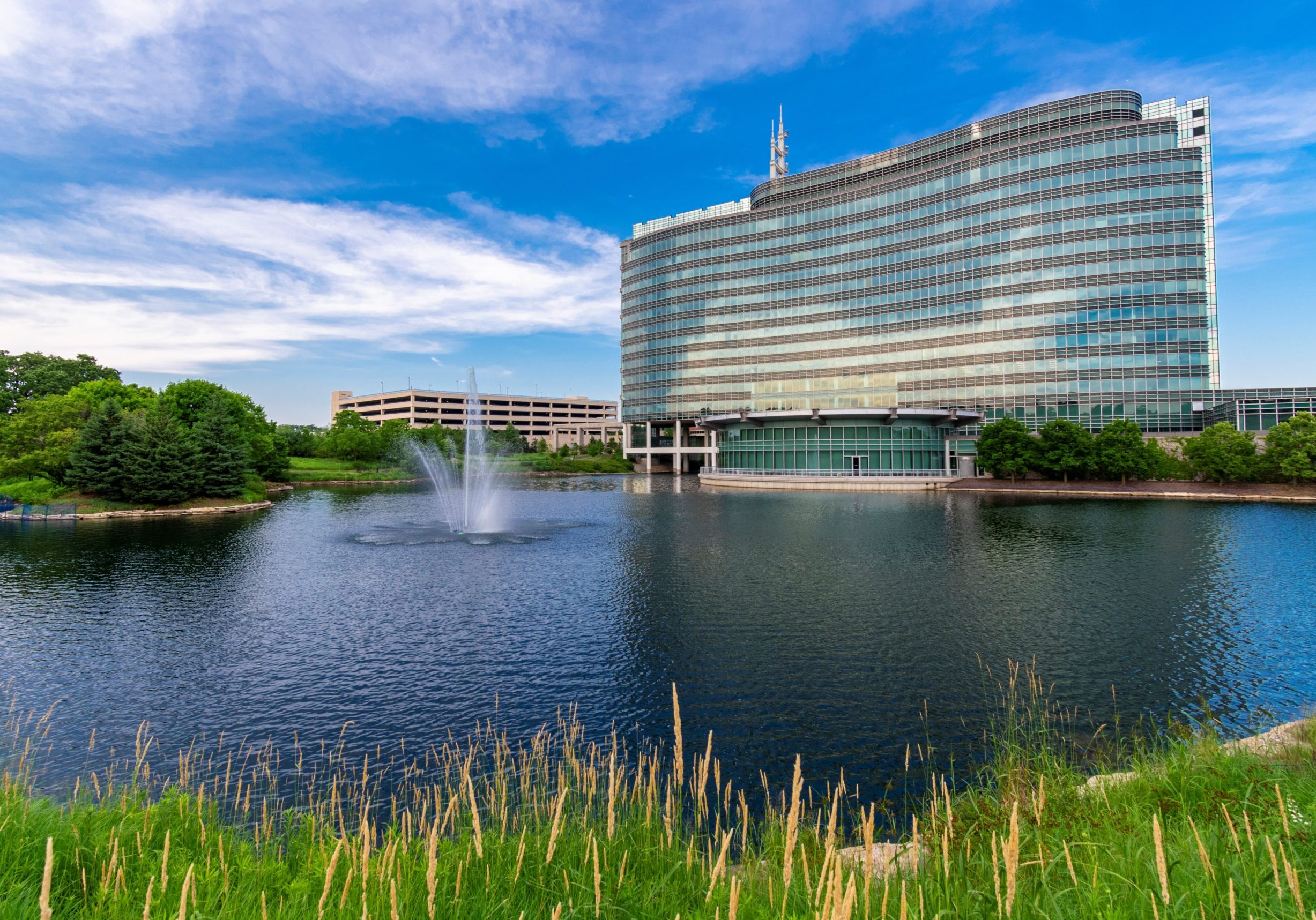 3500 Lacey, Downers Grove, IL